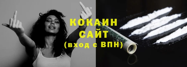 кокс Алексин