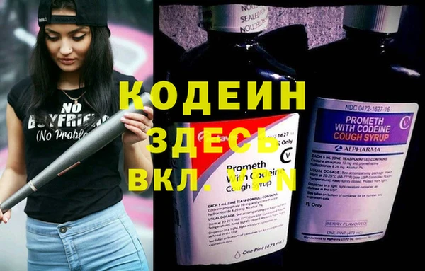 ешки Алзамай