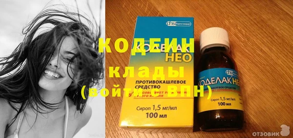 кокс Алексин